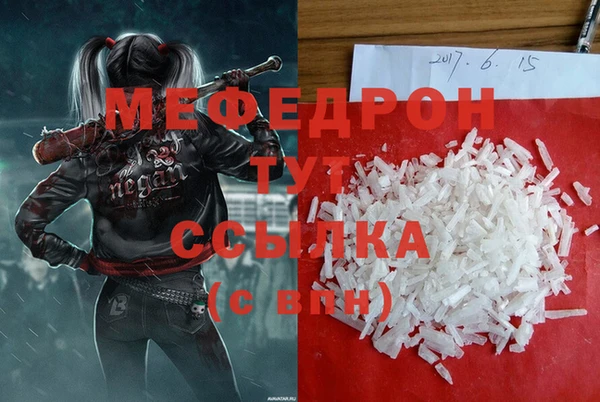 индика Аркадак