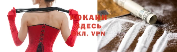 индика Аркадак