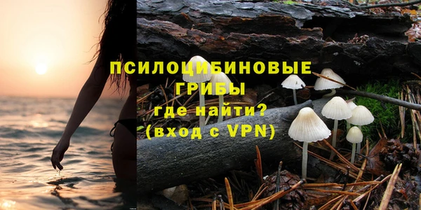 прущие крисы Арсеньев