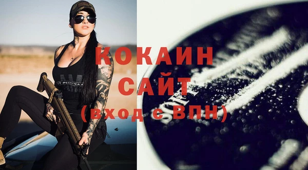индика Аркадак