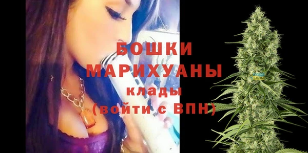 индика Аркадак